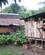1542 Plantageejerens Hjem Refugio Amazonas Peru Anne Vibeke Rejser IMG 8418