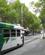 528 Sporvogn I Melbourne Australien Anne Vibeke Rejser IMG 5629