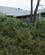 720 Cradle Mountain Hotel Cradle Mountain Tasmanien Australien Anne Vibeke Rejser IMG 5731