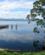 854 Rundt På Sarah Island Macquarie Harbour Tasmanien Australien Anne Vibeke Rejserimg 5869