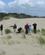 802 Den Store Vandreklit Henty Sand Dunes Tasmanien Australien Anne Vibeke Rejser IMG 5796