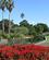 1110 Sydney Botaniske Have Sydney Australien Anne Vibeke Rejser IMG 6162