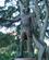 1121 Major General Lachlan Macquarie Statue Ses I Hide Park Sydney Australien Anne Vibeke Rejser IMG 6342