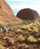 1228 Man Er Lille Mellem De Store Klipper Kata Tjuta The Olgas Australien Anne Vibeke Rejser IMG 6401