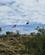 1340 Spadseretur Mod Anzac Hill Alice Springs Australien Anne Vibeke Rejser IMG 6526