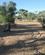 1350 Den Udtoerrede Flod Todd River Alice Springs Australien Anne Vibeke Rejser IMG 6519