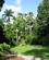 1340 Den Botaniske Have I Cairns Australien Anne Vibeke Rejser IMG 6691
