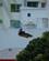 1405 Flyvende Hund Er Den Stoerste Flagermus Med Et Vingefang Paa 1,5 Meter Cairns Australien Anne Vibeke Rejser DSC05145