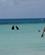 1423 Havbad Og Snorkling I Det Krystalklare Vand Michaelmas Cay Great Barrier Reef Cairns Australien Anne Vibeke Rejser DSC05328