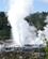 112 Gejsere Sender Kogende Vand I Vejret New Zealand Anne Vibeke Rejser DSC00331
