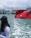 180 Harbour Cruise Auckland New Zealand Anne Vibeke Rejser IMG 4849