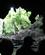 204 Sejlads Gennem Waitomo Grotten New Zeland Anne Vibeke Rejser IMG 4899