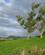 210 Paa Landet I Cambridge New Zeland Anne Vibeke Rejser IMG 4946