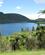 303 Lake Tikitapu Den Blaa Soe Rotorua New Zealand Anne Vibeke Rejser IMG 5021