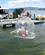 312 Badehalloej I En Luftboble Rotorua New Zealand Anne Vibeke Rejser IMG 4996
