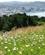 521 Sommer I Januar New Zealand Anne Vibeke Rejser IMG 5153