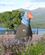 1261 En Sjaelden Fugl Takahe'en Fiorland N.P. New Zealand Anne Vibeke Rejser IMG 5726