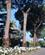 220 Blomstersmykket Viale Dei Pini Saint'agnello Sorrento Italien Anne Vibeke Rejser IMG 1645