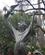 340 Franz Af Assisi Sorrento Italien Anne Vibeke Rejser IMG 1378