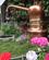 465 Parfume Fra Capri Italien Anne Vibeke Rejser IMG 1457