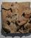 595 Relief I Museet Antiquarium Pompei Italien Anne Vibeke Rejser IMG 1561