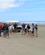 340 Aktiviteter Paa Ninetymiles Beach New Zealand Anne Vibeke Rejser PICT0251