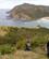 380 Op Fra Stranden Mod Cape Reinga New Zealand Anne Vibeke Rejser PICT0339