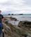 520 Din Rejseskribent Ved Tahunanui Beach Nelson New Zealand Anne Vibeke Rejser PICT0461