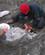 1086 Maden Graves Fri Af Hangien Okarito Lagoon New Zealand Anne Vibeke Rejser