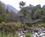 1100 Vandring Paa Copland Track Copland Valley New Zealand Anne Vibeke Rejser PICT0272