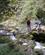1134 Haengebro Over Rivende Flod Copland Valley New Zealand Anne Vibeke Rejser PICT0266
