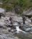1142 Smaa Bifloder Passeres Copland Valley New Zealand Anne Vibeke Rejser PICT0275