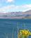 1220 Lake Wanaka New Zealand Anne Vibeke Rejser PICT0333