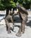 105 Bronzestatue Hvor Bedstefar Beder Barnebarnet Om At Baere Hans Taske Shiraz Iran Anne Vibeke Rejser IMG 1186