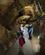 196 Lille Hal 55 Meter Tiefenhöhle Laichingen Schwabiske Alp Tyskland Anne Vibeke Rejser IMG 2174