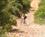 102 Mountainbike I Israel Anne Vibeke Rejser PICT0037