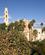 112 St. Peters Kirke Jaffa Tel Aviv Israel Anne Vibeke Rejser PICT0021
