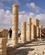 226 Soejler Ved Tempel Avdat Negev Israel Anne Vibeke Rejser PICT0063