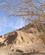 420 Sparsom Bevoksning Eilat Israel Anne Vibeke Rejser PICT0157