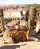 461 Ridning Paa Dromedarer Timna Park Eilat Israel Anne Vibeke Rejser PICT0213