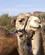 462 Venter Paa Kunder Timna Park Eilat Israel Anne Vibeke Rejser PICT0218