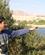 104 Genoprettet Vaadomraade Ved Eilat Israel Anne Vibeke Rejser PICT0141