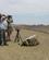 121 Fuglekiggere Makhtesh Ramon Mitzpe Ramon Israel Anne Vibeke Rejser IMG 2440