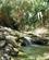 324 Groent Omraade Ein Gedi National Park Israel Anne Vibeke Rejser IMG 2492