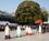 300 Bryllupsoptog Ved Meiji Jingu Tokyo Japan Anne Vibeke Rejser DSC02757