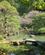 792 Japansk Have Soelvpavillonen Kyoto Japan Anne Vibeke Rejser IMG 6030