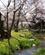841Vandloeb Shosei En Haven Kyoto Japan Anne Vibeke Rejser DSC03044