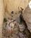 342 Gennem Slugt Wadi Ibn Hammad Jordan Anne Vibeke Rejser DSC08464