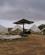 611 Efter Uvejret Rummanas Campsite Dana Nature Reserve Jordan Anne Vibeke Rejser DSC08560