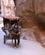 793 Vil Du Ikke Gaa Kan Du Tage Hestevognen Gennem Al Siq Petra Jordan Anne Vibeke Rejser DSC08792